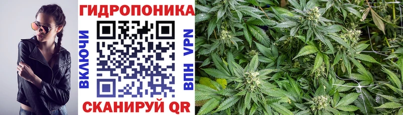 Конопля Amnesia darknet формула Кольчугино